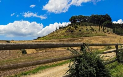 Lajatico e Orciatico