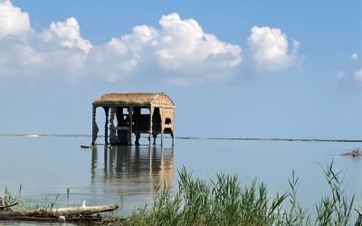Nel labirinto d’acqua del Delta del Po